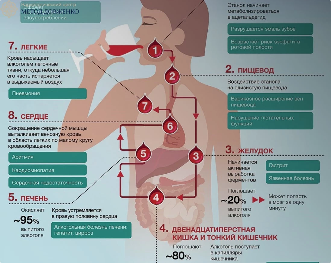 схема влияния алкоголизма на пищварительную симтуму