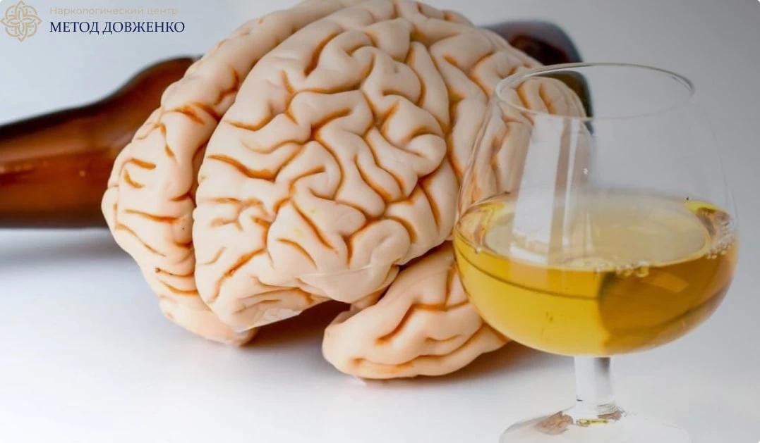 алкоголь и мозг